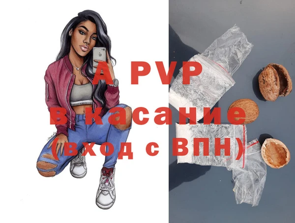 прущие крисы Беломорск
