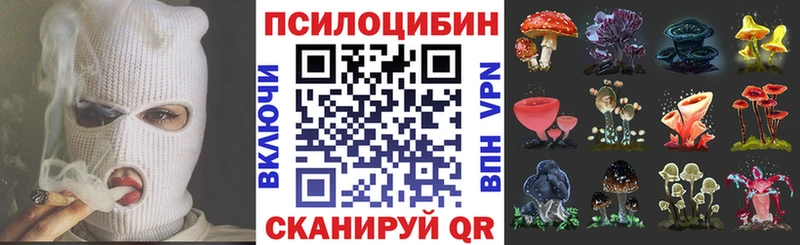 Галлюциногенные грибы прущие грибы  Высоковск 